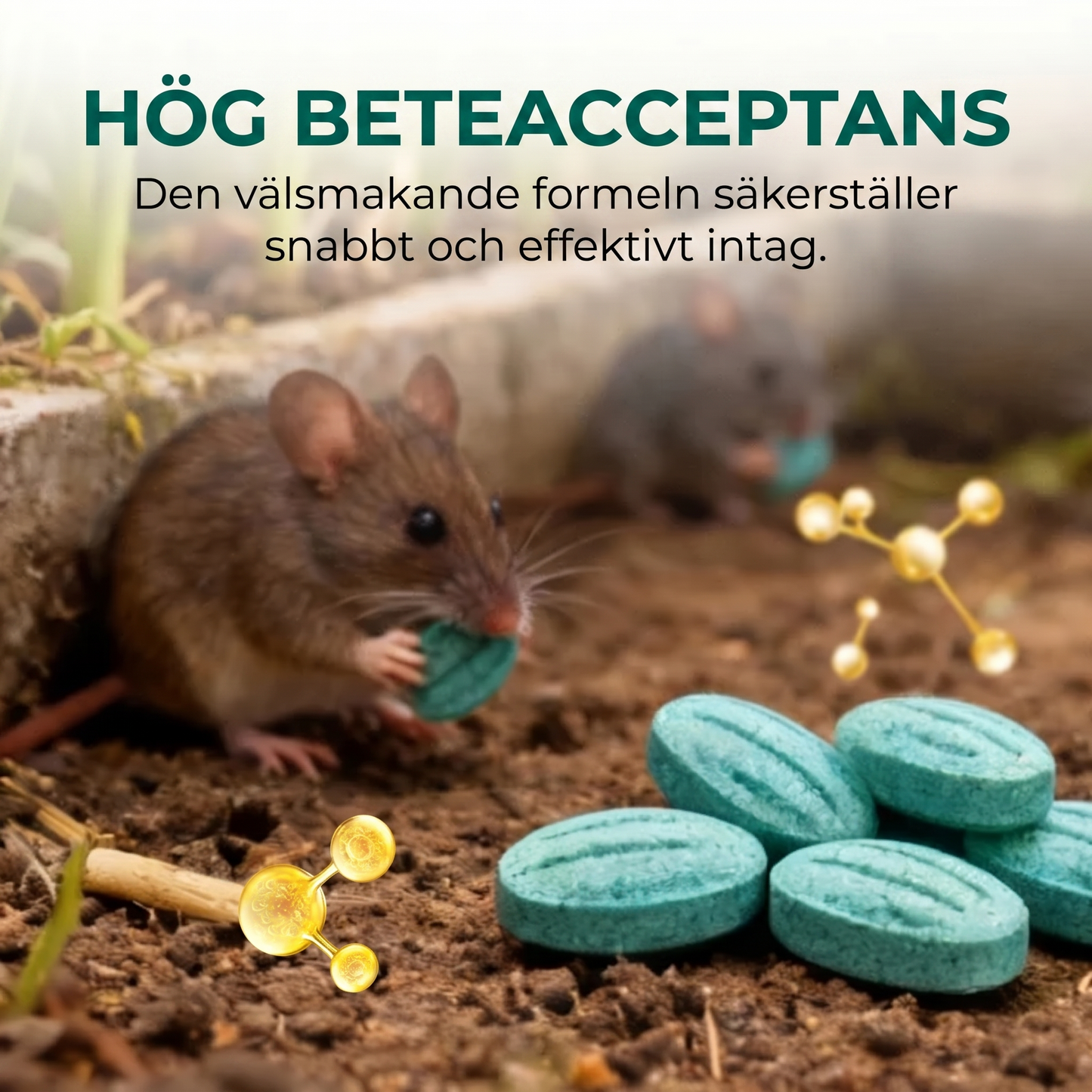 GnagFix™ – Ta tillbaka kontrollen över ditt hem på 3–7 dagar